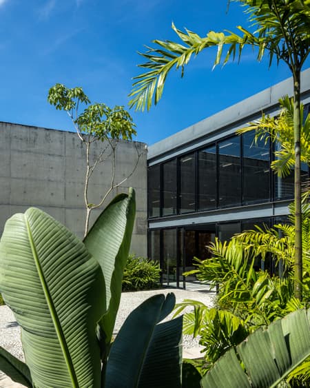 Museu do pontal